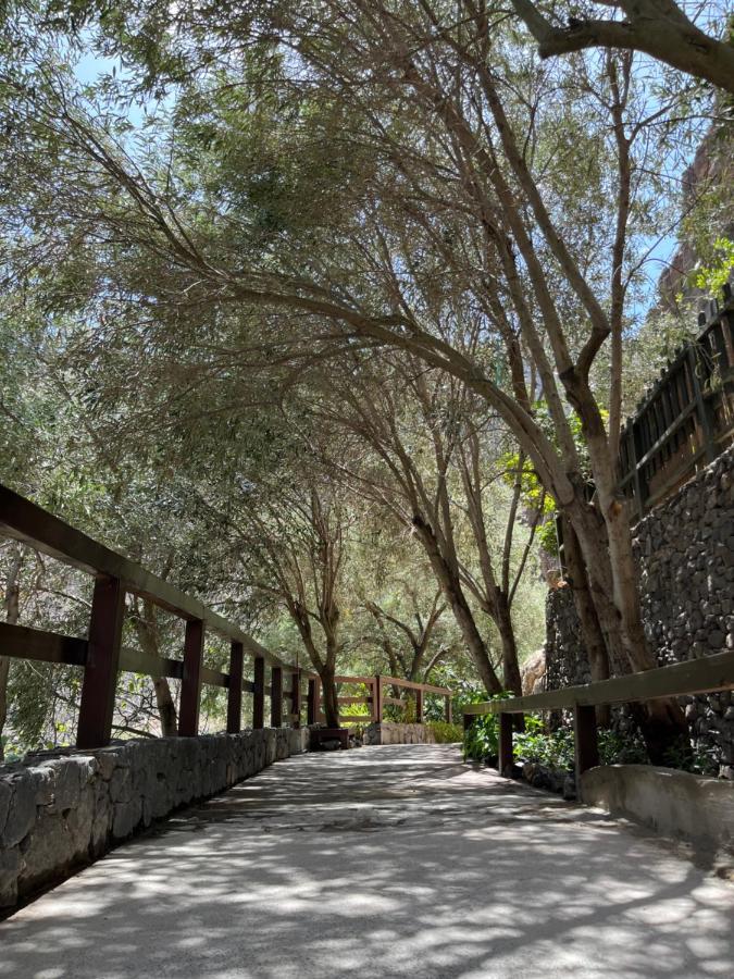Casa Rural Guayadeque Ca'Juani Ingenio Exteriör bild